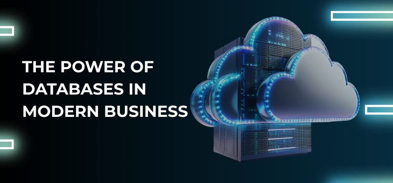 Database Design & Management Services