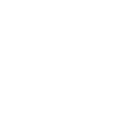 Medal