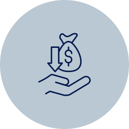 Budget & Pricing