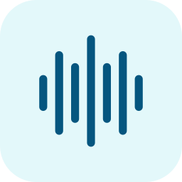 Voice